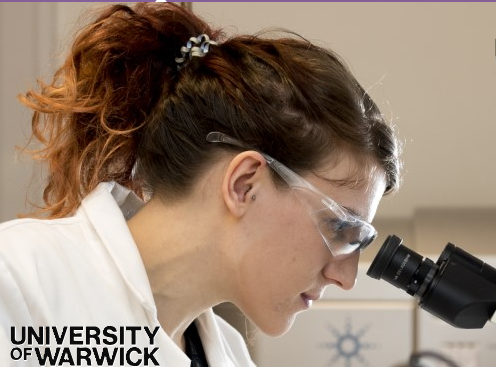 University of Warwick Postgraduate Research Scholarships 2026